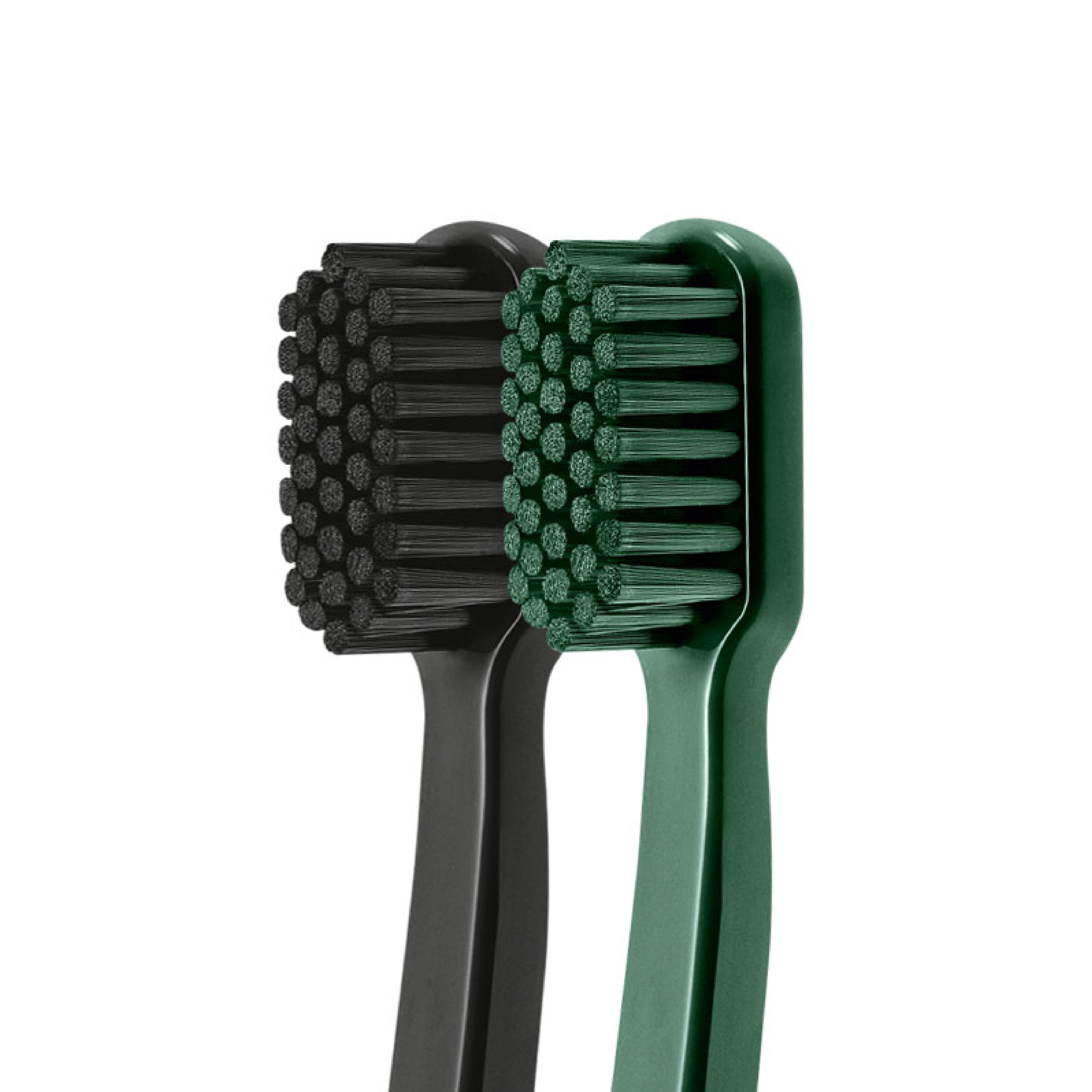 swiss smile professional Zahnbürsten in Schwarz und British Racing Green