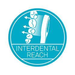 Interdental reach icon