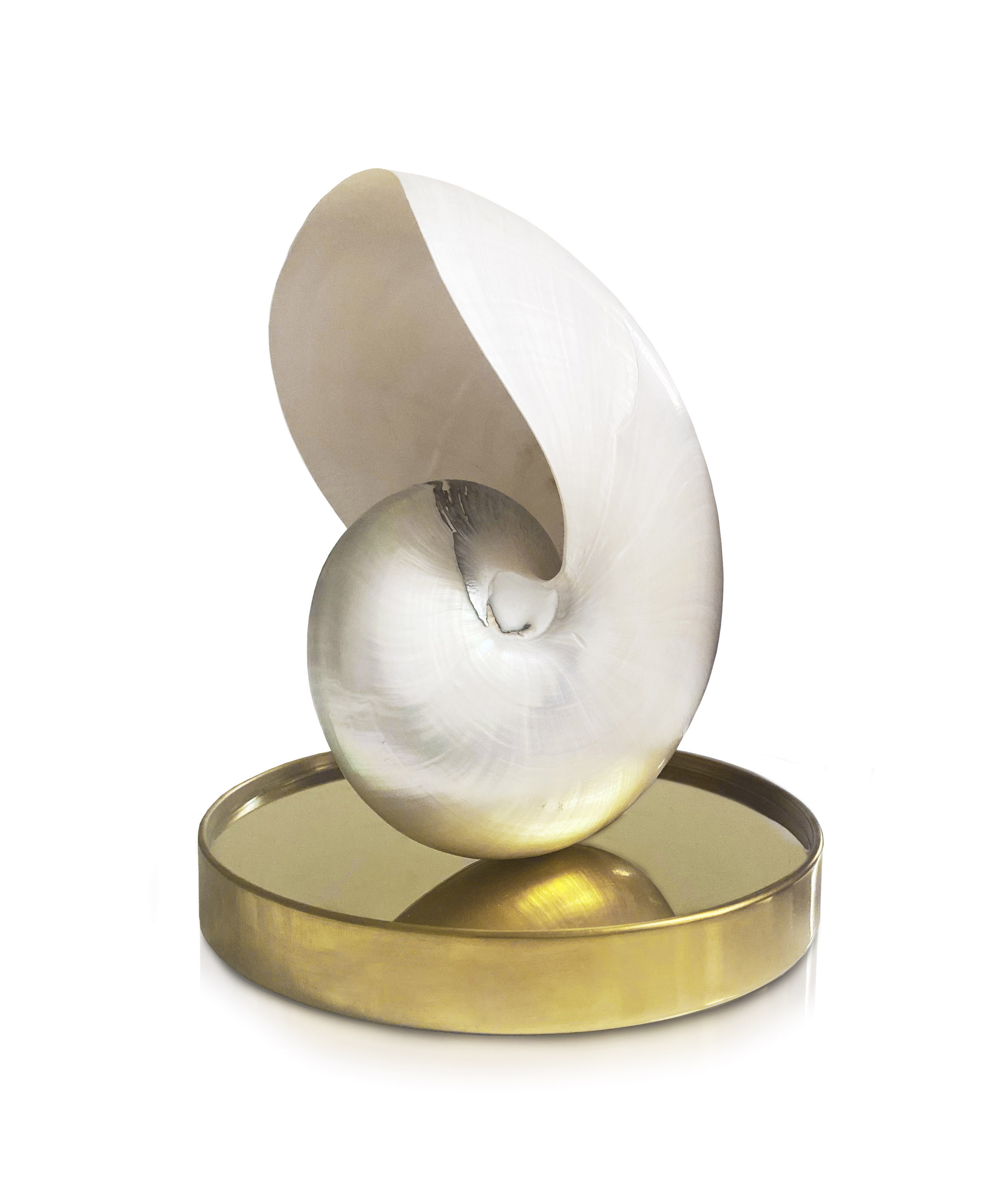 Mother of Pearl nautilus shell