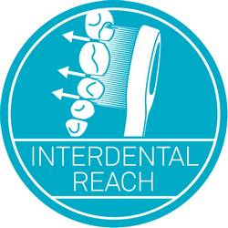 Interdental reach icon