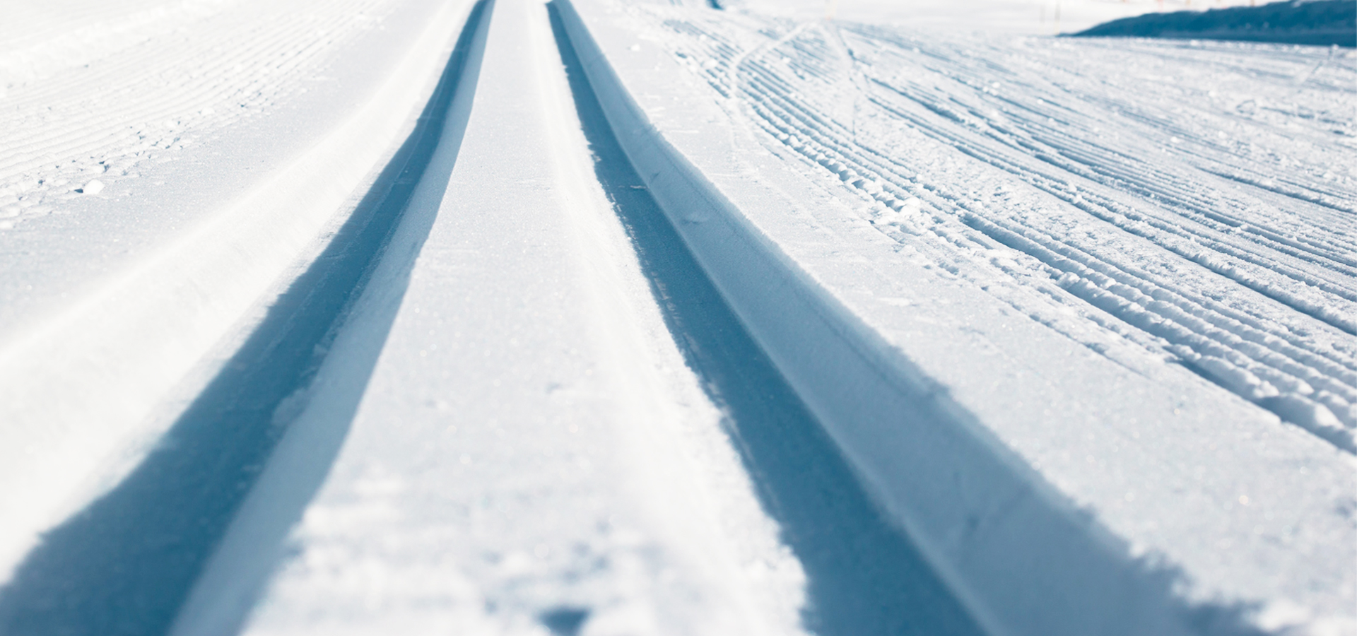 Tracks in the deep Swiss snow